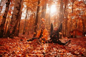 Havetips til oktober: Sådan forbereder du haven på vinteren