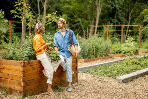 Havetips juni: Sådan får du det bedste ud af din sommerhave